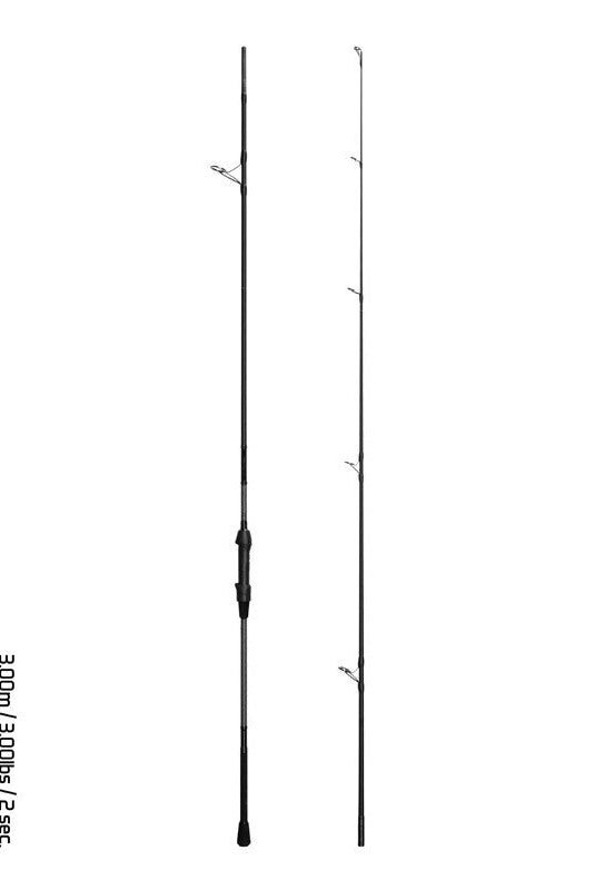 Delphin CorsaBLACK NERO Rute 300cm 3LBS Karpfen0