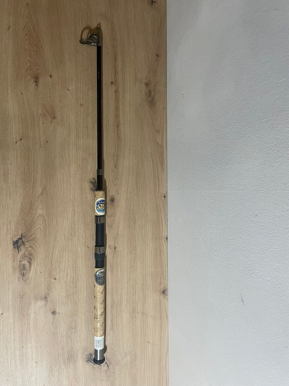Balzer Carbo Ace Tele 25 Rute 210cm 5-25g
