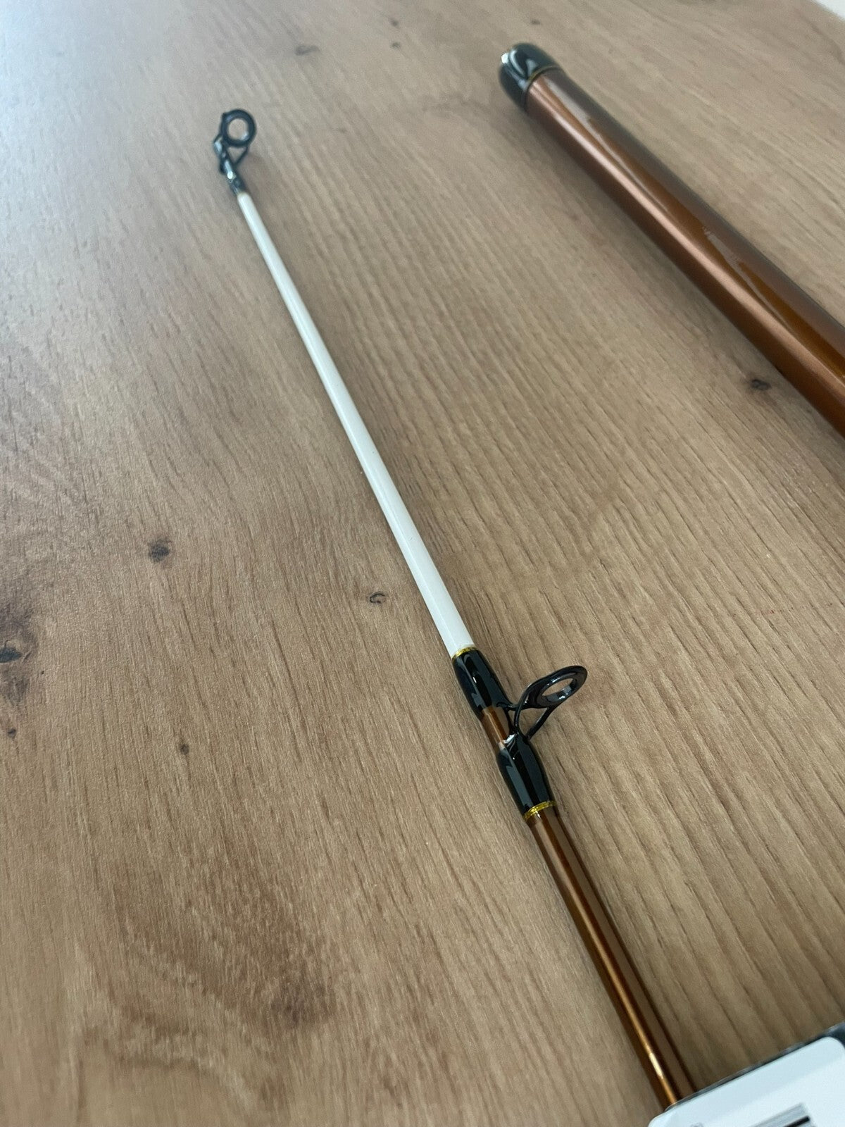 Lion Advanced Pro Boat Rute 270cm 250300g6