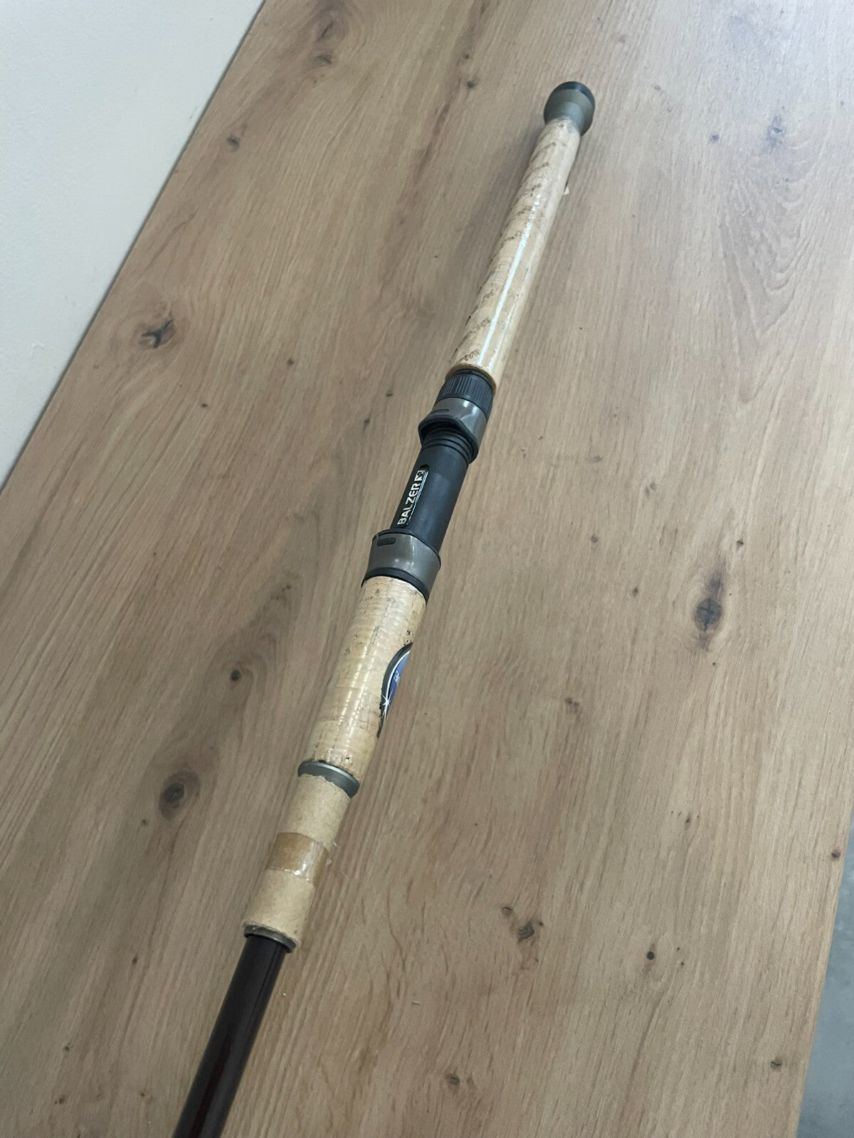 Balzer Diabolo Tele 25 Rute 210cm 525g1