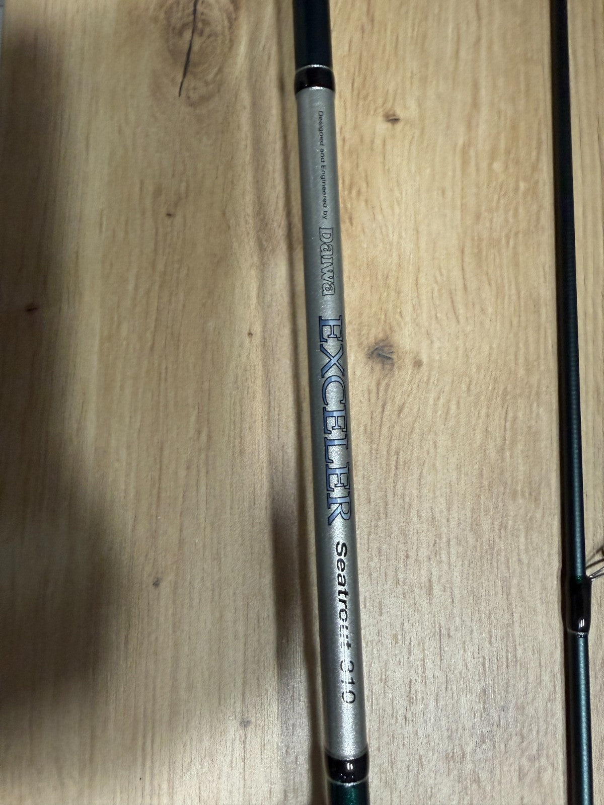 Daiwa Exceller Seatout 310 Rute 310cm 1040g3