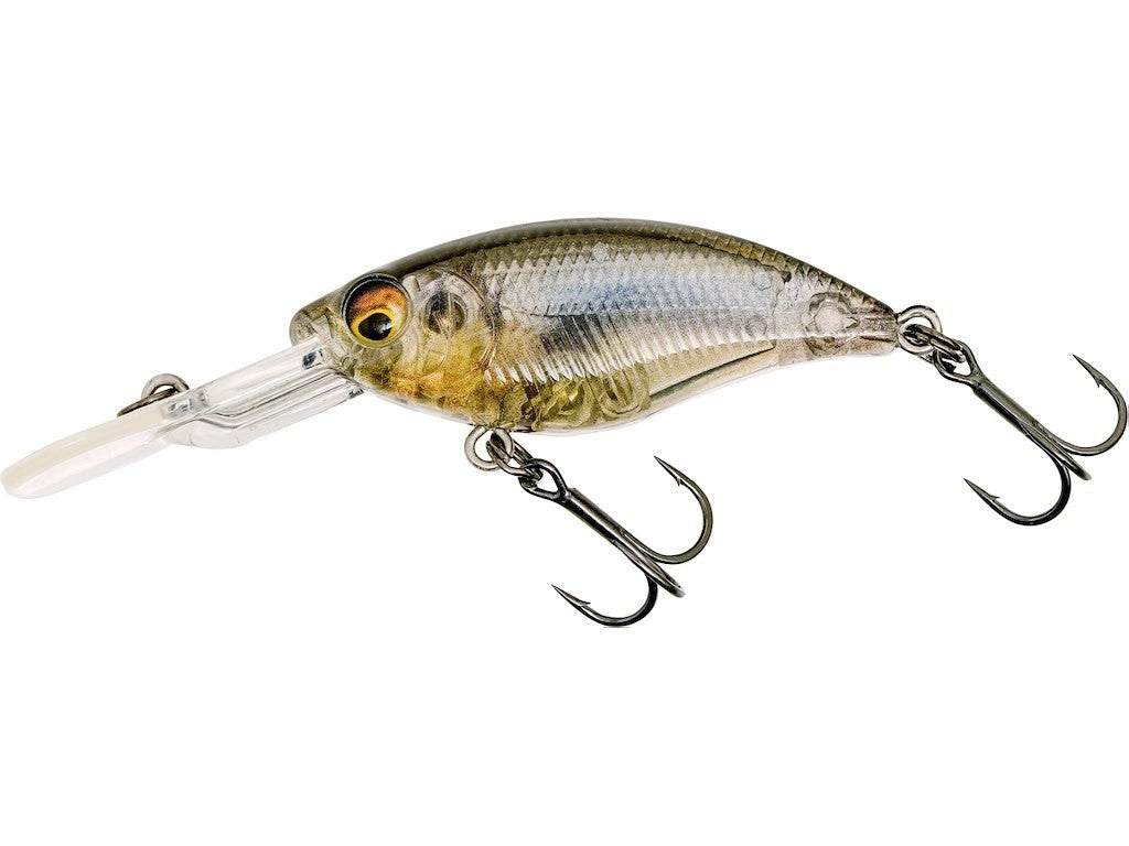 https://i.ebayimg.com/00/s/NzY4WDEwMjQ=/z/2zUAAeSwKnpp3po1/$_57.JPG