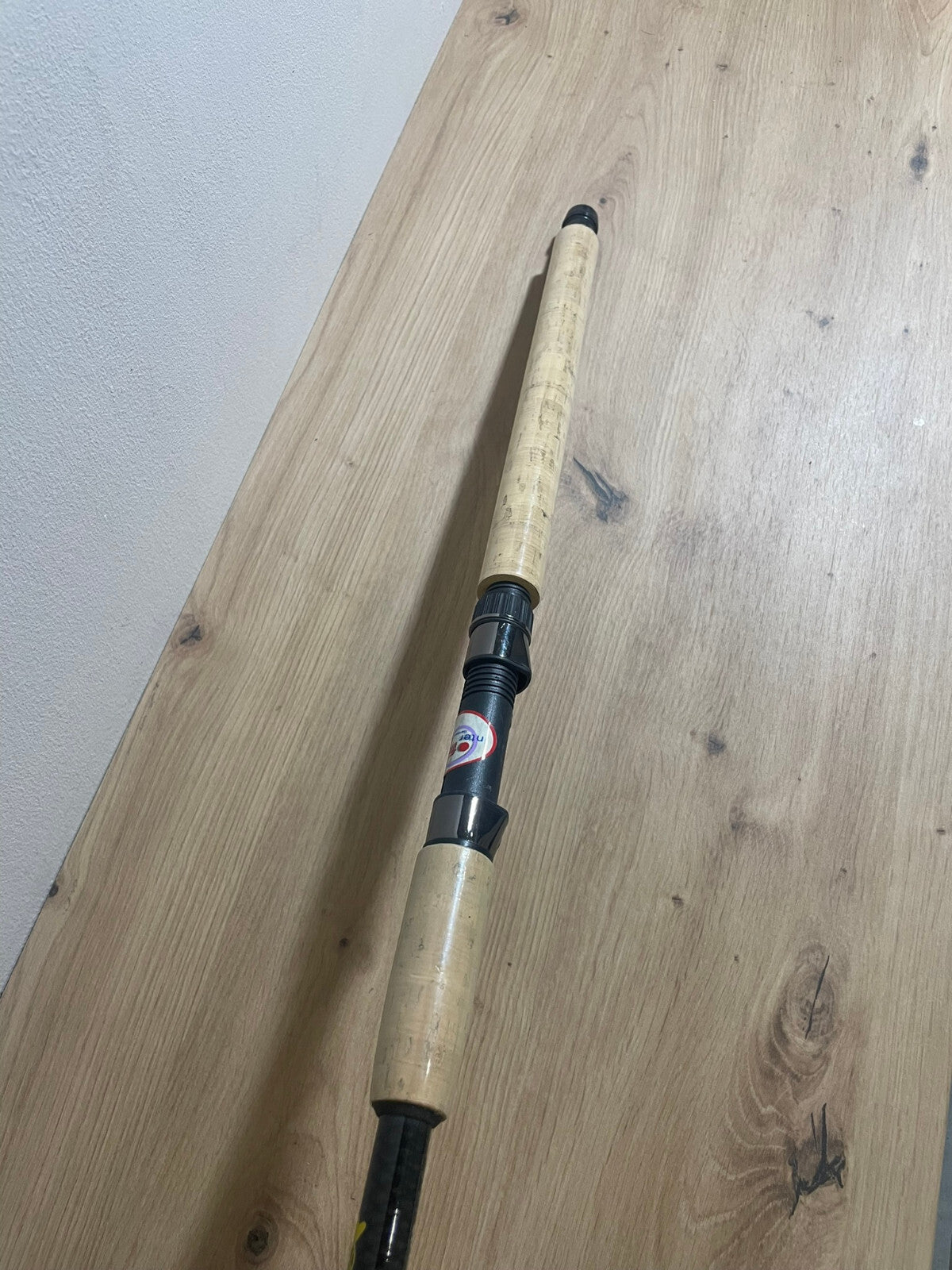 InterFish Blue Eagle Tele 60 Rute 270cm bis 60g1