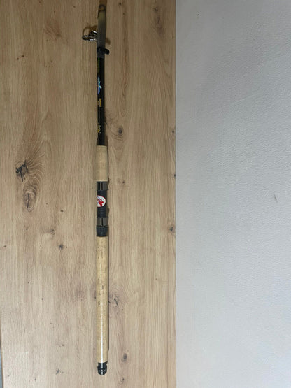 InterFish Blue Eagle Tele 60 Rute 270cm bis 60g