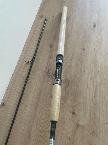 Balzer Diabolo 25 Rute 270cm 525g1